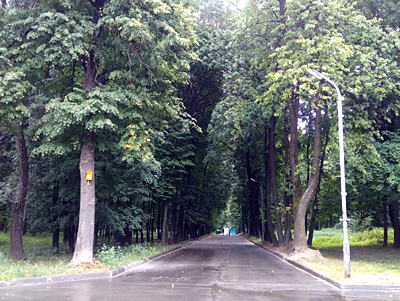 В Рязани стартовало голосование по видам работ в парках