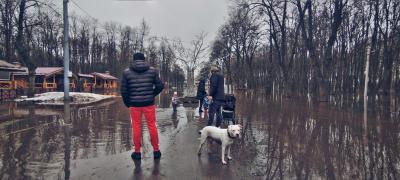 Рязанцы ходят любоваться на затопленный Лесопарк