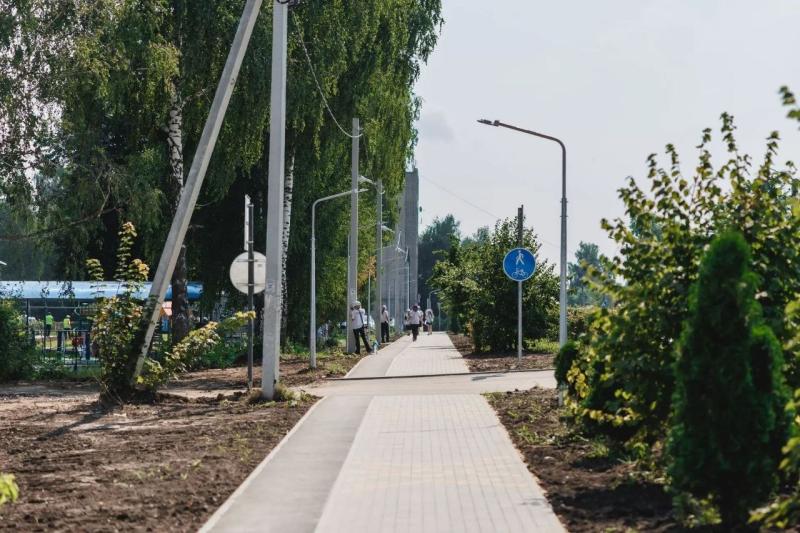 В Рыбном создают пешеходный маршрут через лесопарк и набережную Вожи