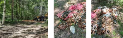 В лесу в Рязанском районе обнаружили свалку рыбных и мясных отходов