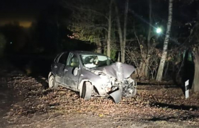 В Рязанском районе пьяный водитель «Лады Калины» врезался в дерево