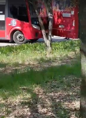 Фото: группа «Рязань Online» в соцсети «ВКонтакте»
