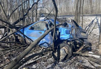 На трассе близ Шилово столкнулись Kia Rio и Suzuki, пострадали два пассажира