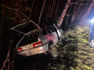 Под Рязанью ВАЗ-2114 слетел в кювет, пострадали водитель и пассажир