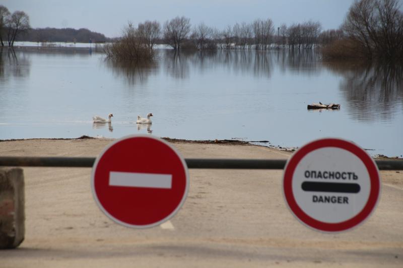К субботе уровень воды в Оке в черте Рязани понизился на 10 сантиметров