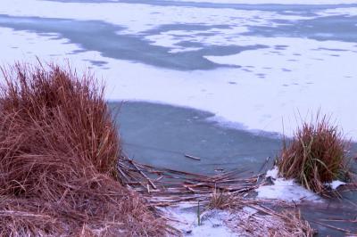 Следствие выяснило причину смерти рязанки, найденной во льду в Алеканово