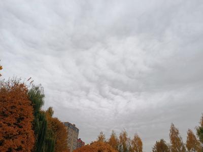 В Рязани вновь засняли облака асператусы