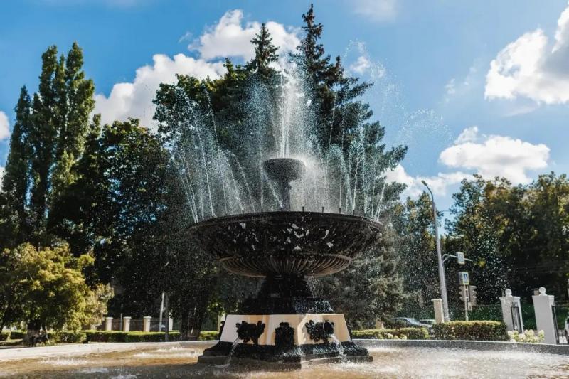 На улице Есенина в Рязани осенью высадят деревья