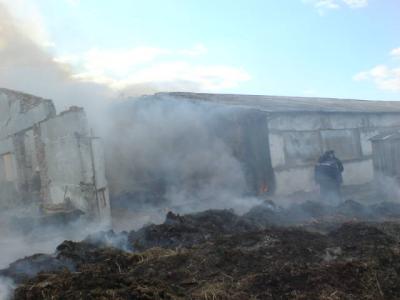 В Рязанской области случился пожар на сельхозпредприятии
