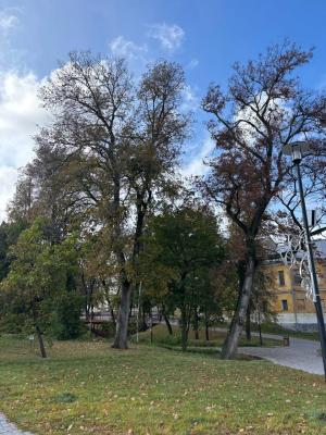 В Рязанской области днём воздух прогреется до 13 градусов