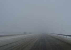 Туман опустится на Рязанскую область
