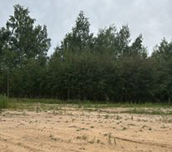 Под Рязанью бизнесмен ликвидировал незаконную свалку