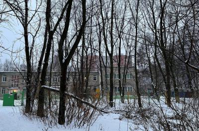Депутаты Рязгордумы разберутся с опасными деревьями возле детского сада №81