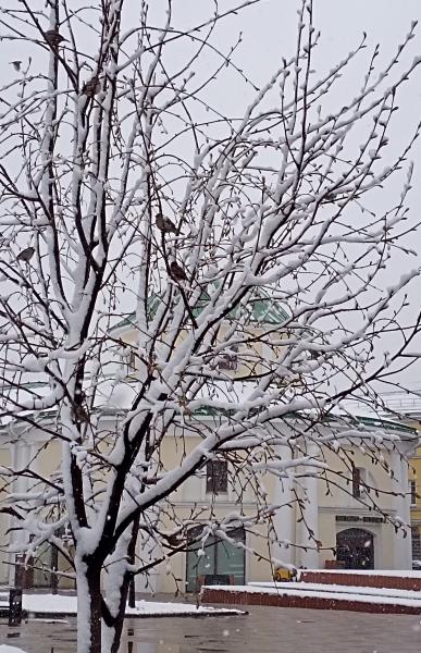 В Рязанской области вновь ожидается мокрый снег