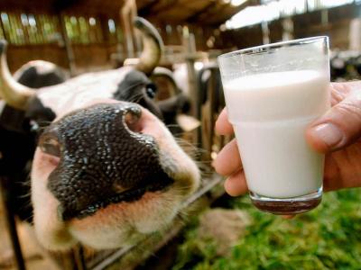 Увеличены субсидии на молоко в Рязанской области