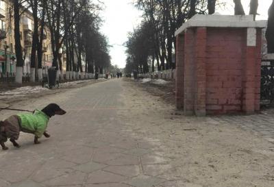 ЭРА назвал главную причину грязи на улицах Рязани