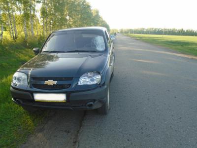 Пьяный водитель Chevrolet Niva сбил на встречке велосипедистку неподалёку от Александро-Невского