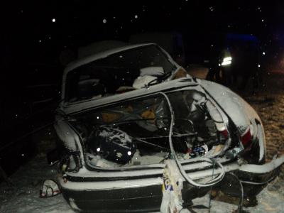 В столкновении «Волги» и Mercedes близ Путятино погиб человек