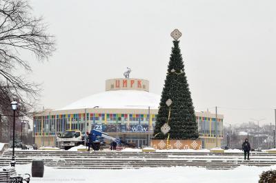 Рязань украшают новогодними елями